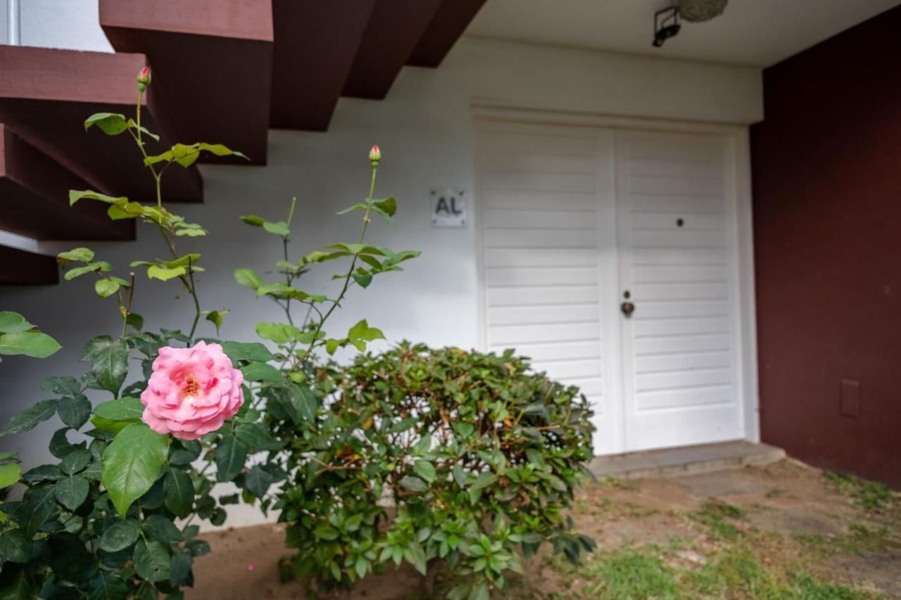 Snooker House Apartment Ponta Delgada (Sao Miguel)