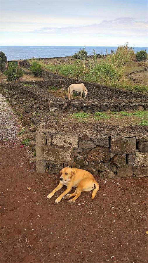 Quinta Da Falesia - Casa Branca * Ponta Delgada (Sao Miguel)