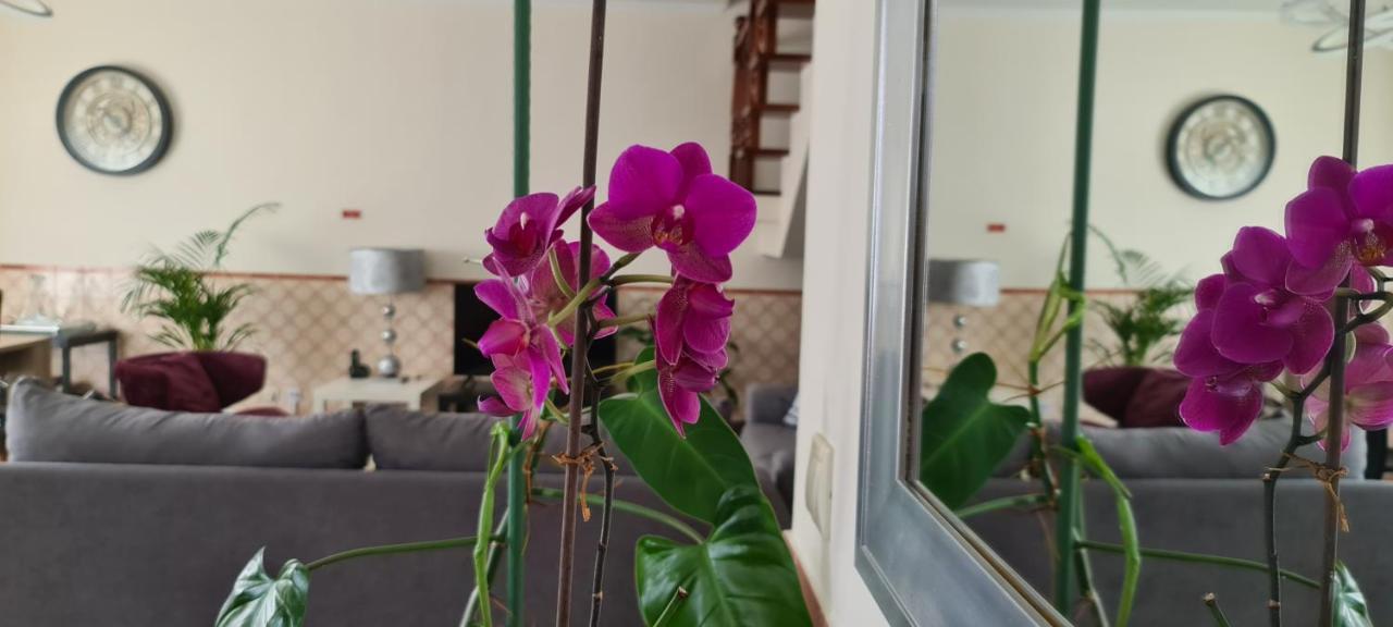 Holiday home Vila Faia *