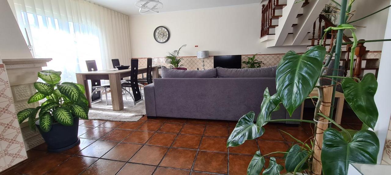 Vila Faia Holiday home *