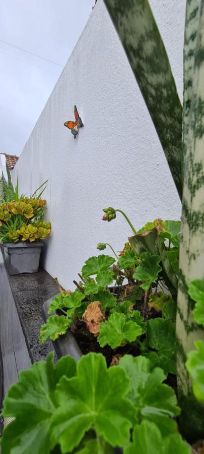Vila Faia *