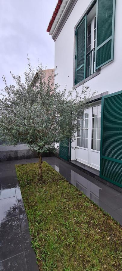 Vila Faia Holiday home