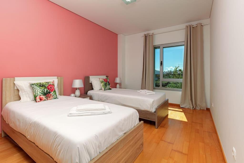 Apartment New Park In Ponta Delgada (Sao Miguel)