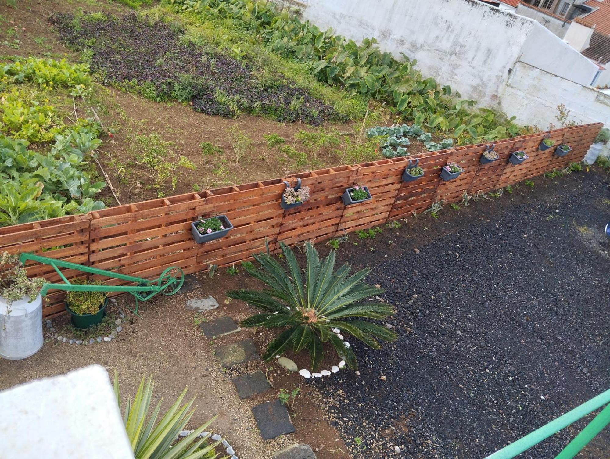 Casa Do Lavrador Nhà nghỉ Ponta Delgada (Sao Miguel)