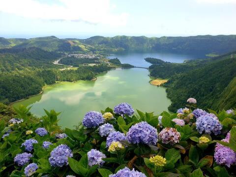 Pilar Mar - Rural In The Countryside Of Sao Miguel Apartment Ponta Delgada (Sao Miguel)