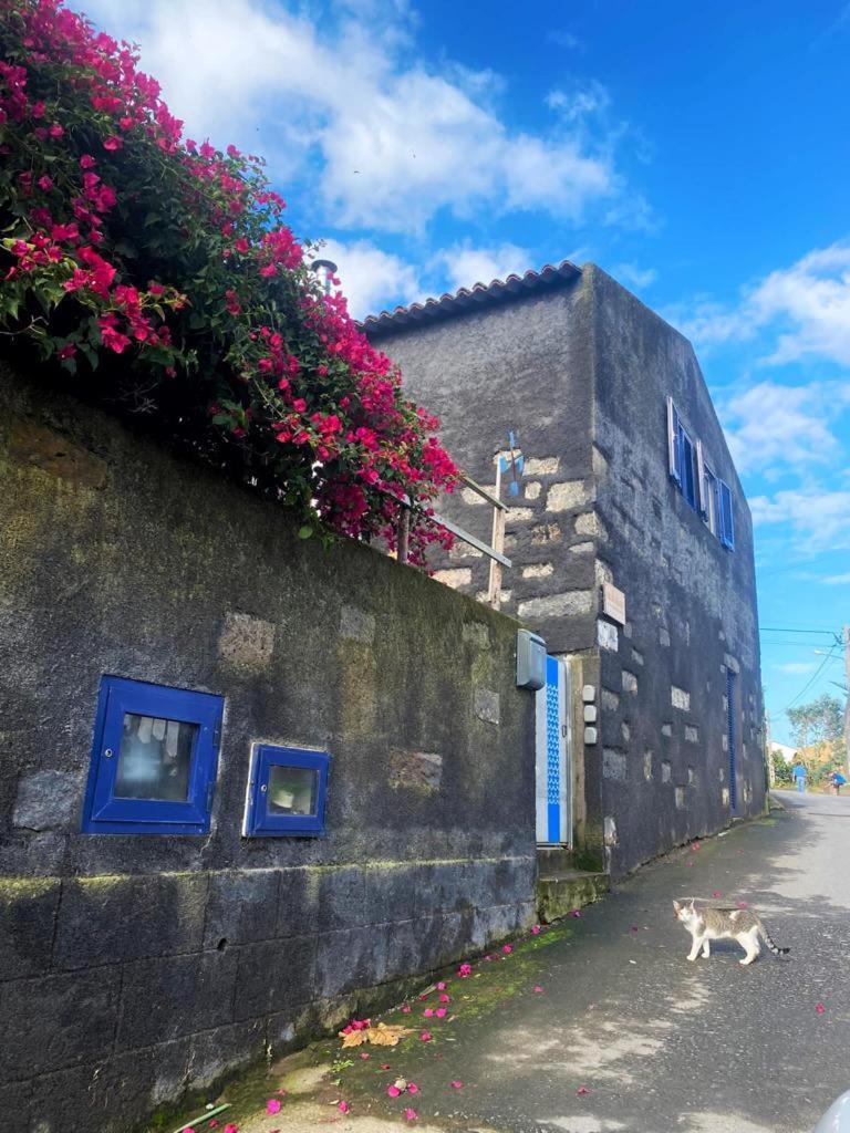 Apartment Pilar Mar - Rural In The Countryside Of Sao Miguel Ponta Delgada (Sao Miguel)