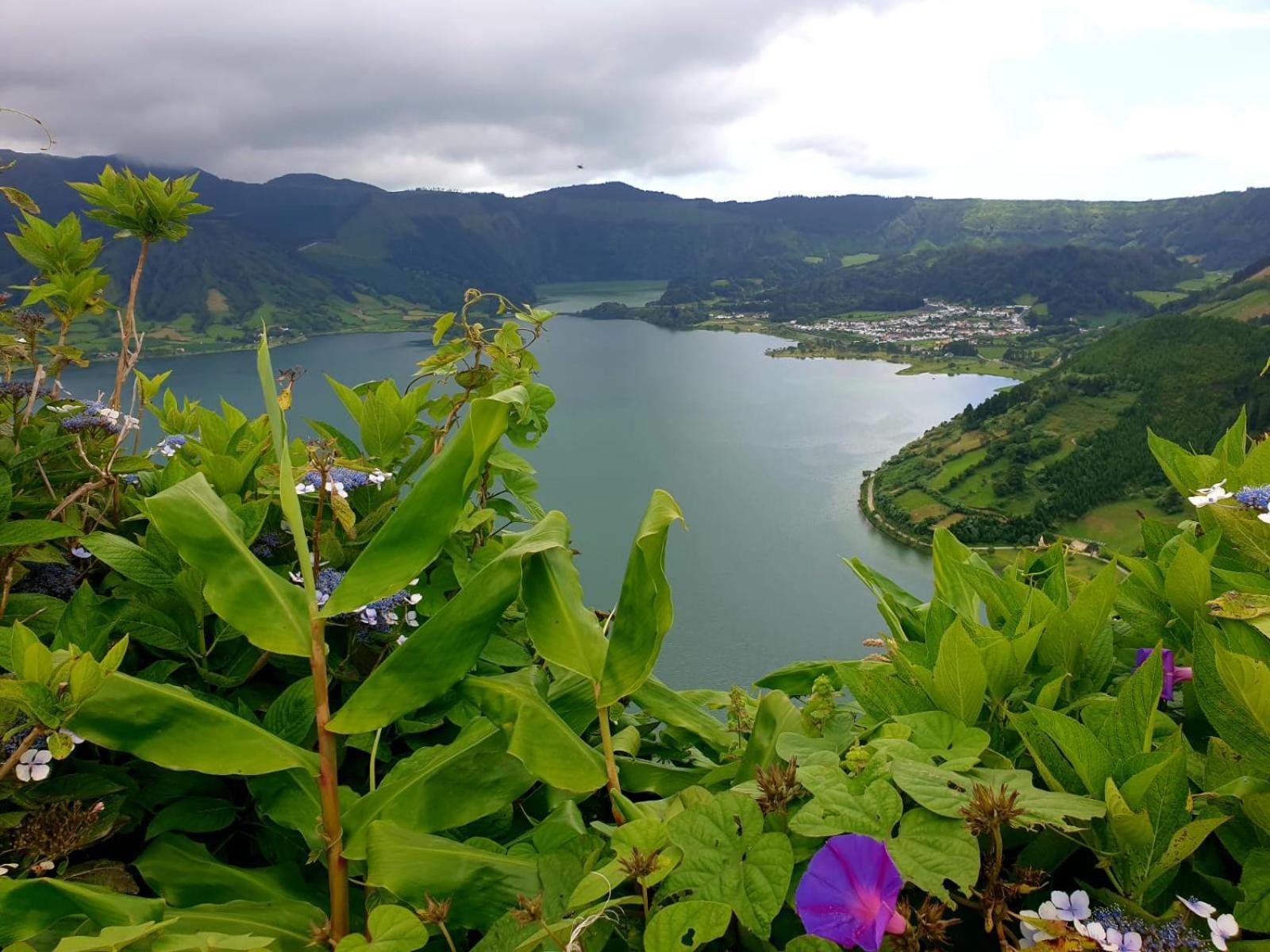 Pilar Mar - Rural In The Countryside Of Sao Miguel *