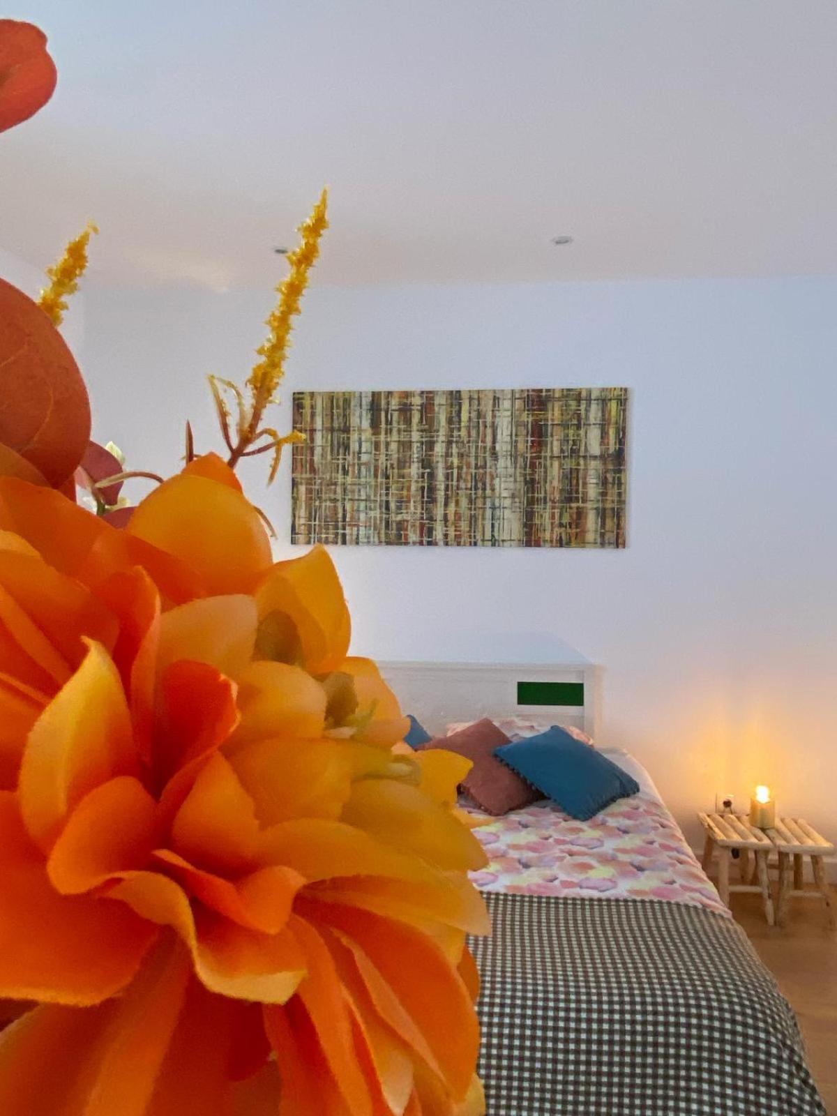 Casa Physalis