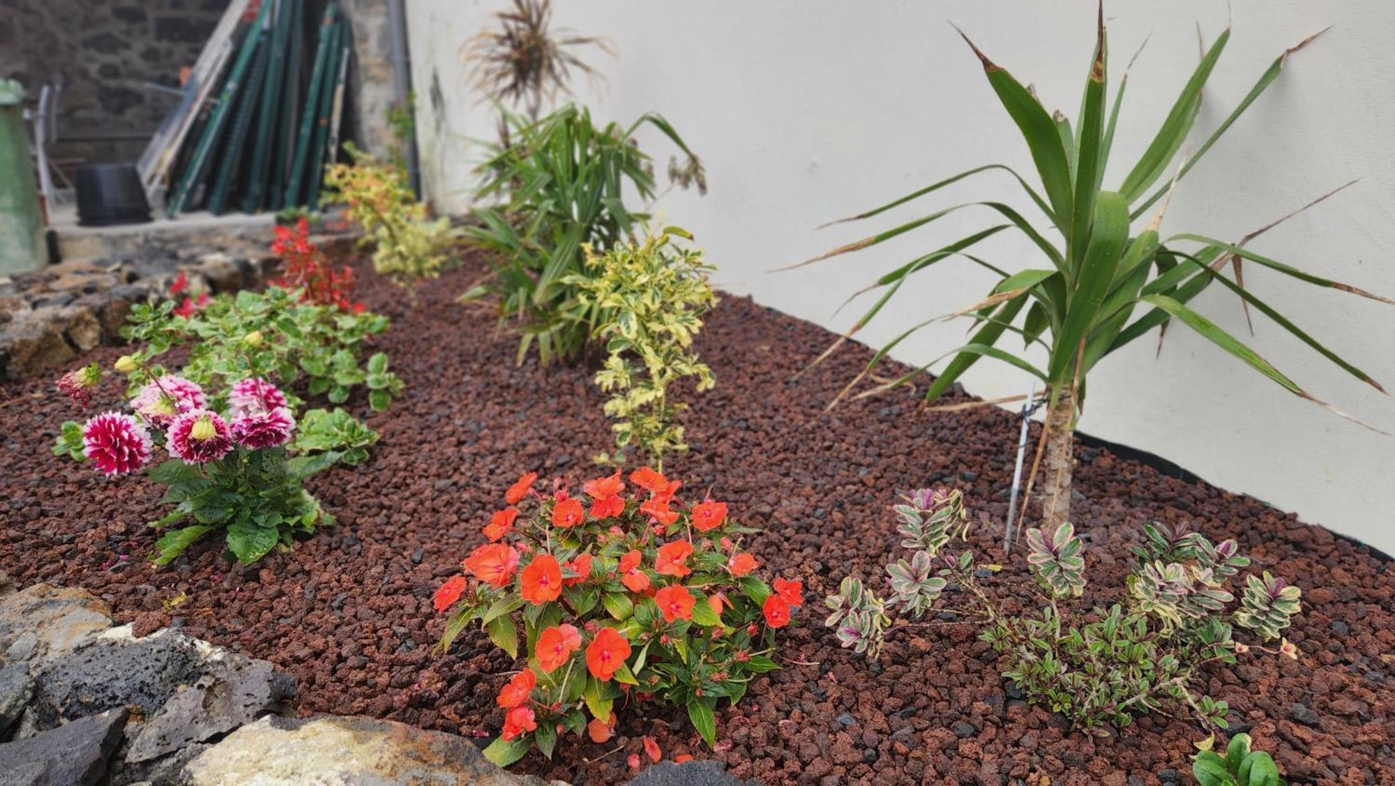 Garden ,