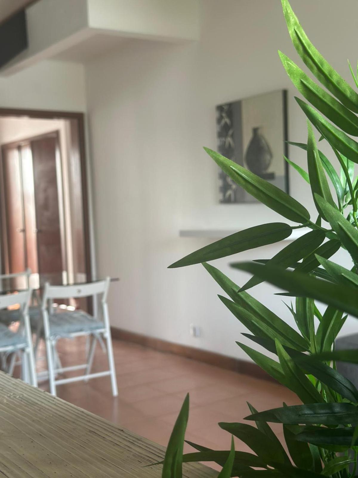 Apartamento Azores Pedra J - F