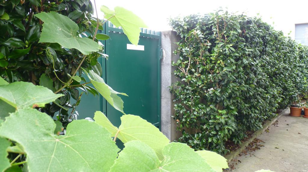 Azores Holidays House -b&b - - Self Check-in Keyboard Ponta Delgada (Sao Miguel)