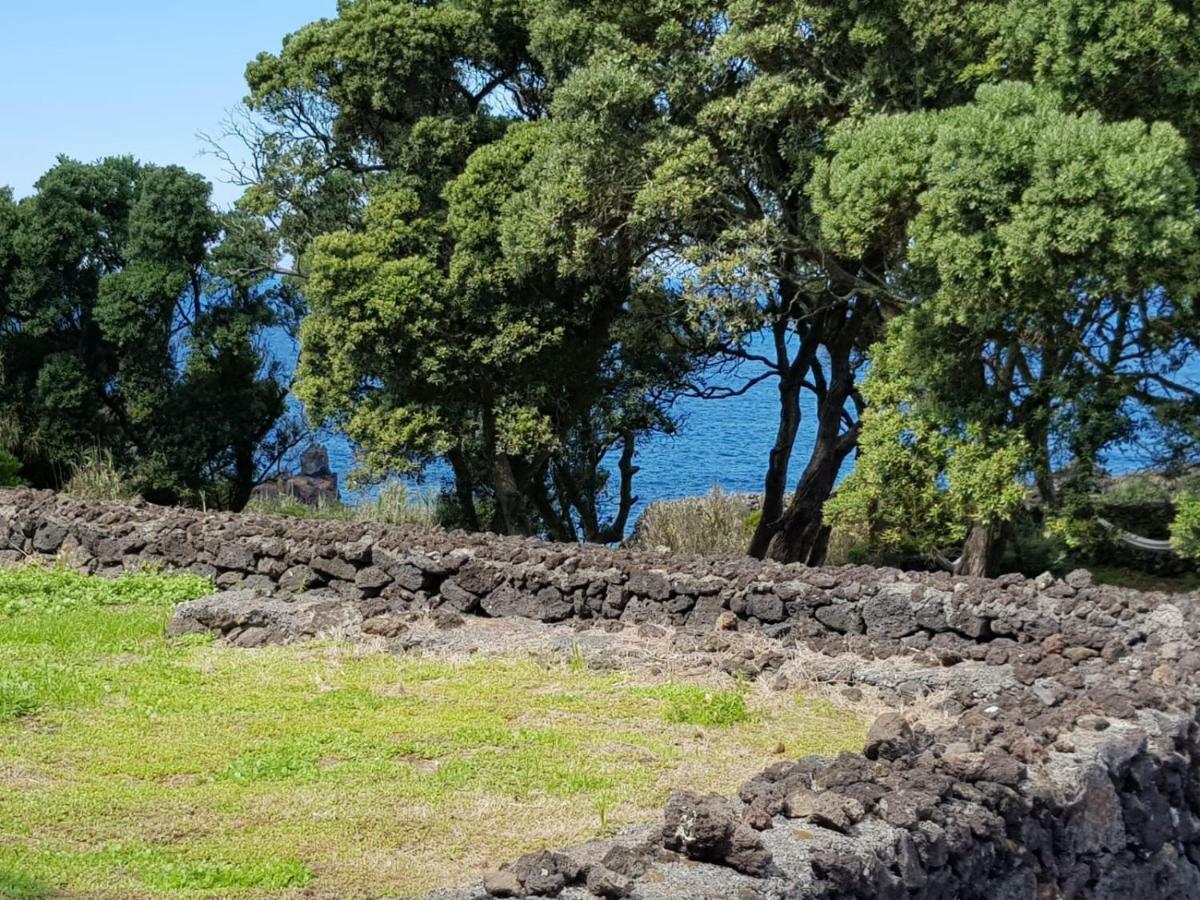 Quinta Da Falésia - Casa Amarela Сasa de vacaciones *