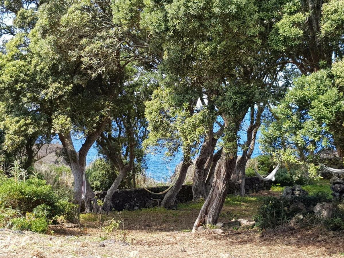 Сasa de vacaciones Quinta Da Falésia - Casa Amarela Ponta Delgada