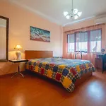 Large Modern Ponta Delgada Apartment