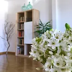 Casa Do O