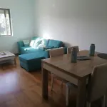 Arquinha
