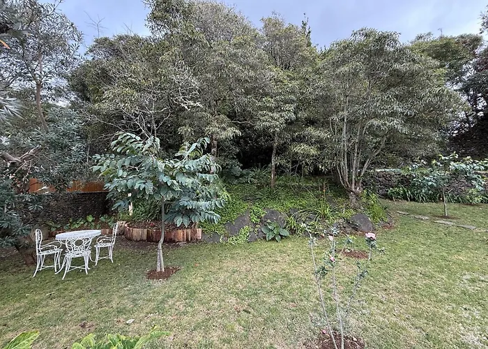 Lotus House - Heated Pool & Jacuzzi Near The Beach
