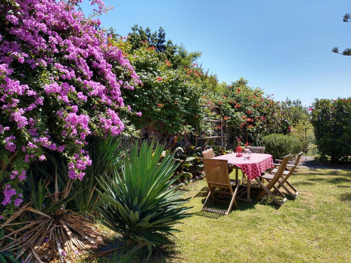 Quinta Glicinias Casa de férias *