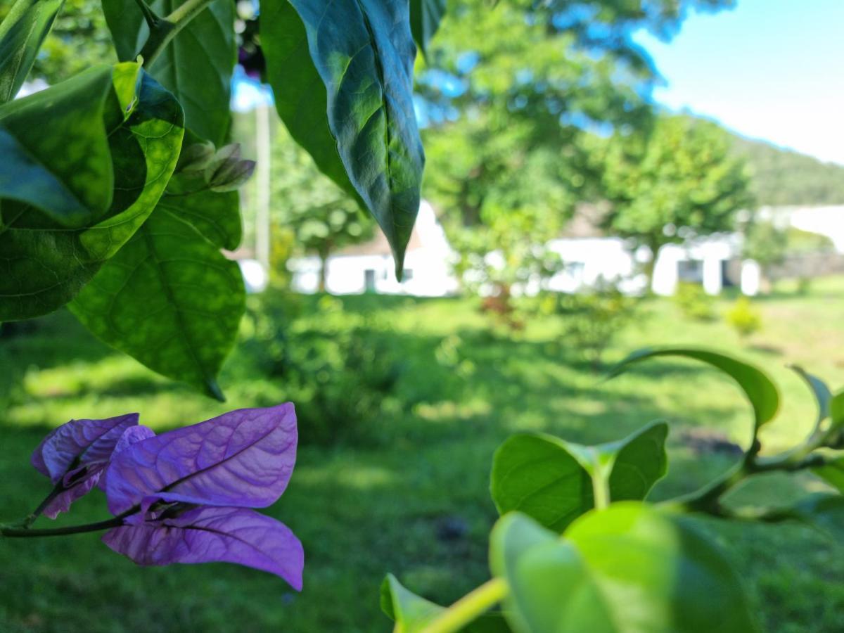 Quinta Tres Platanos Chalé