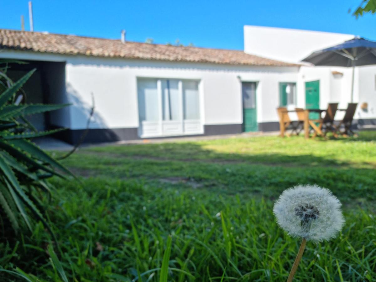 Chalé Quinta Tres Platanos