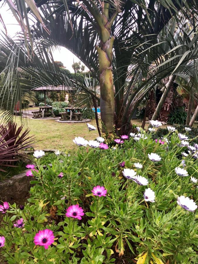 Quinta Da Bela Vista *