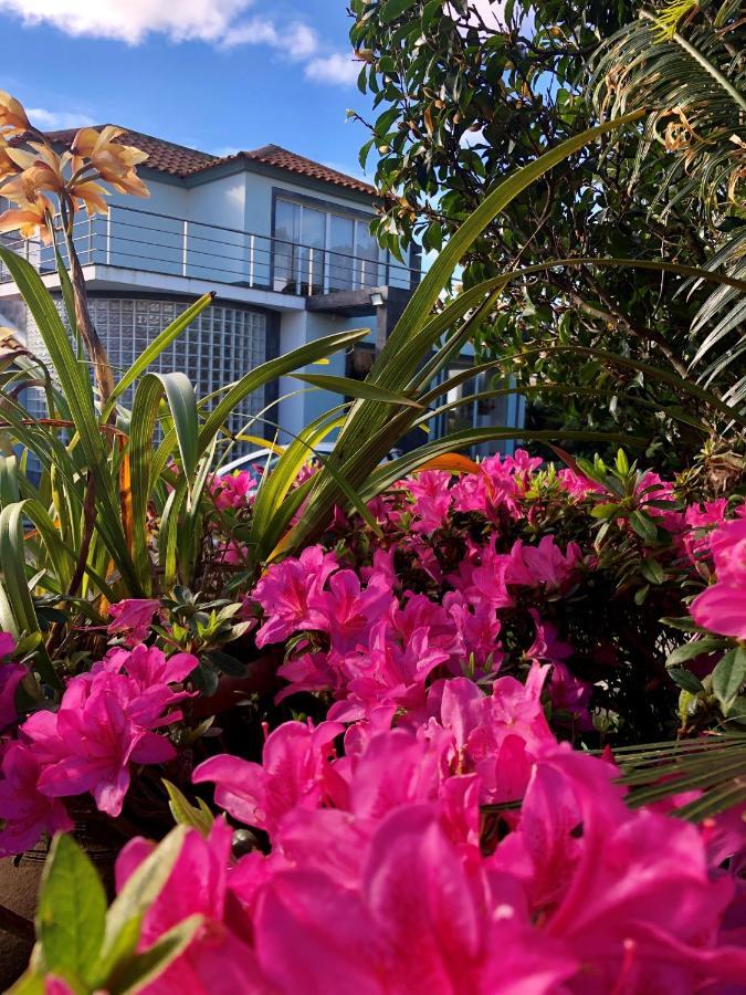Quinta Da Bela Vista Holiday home Ponta Delgada (Sao Miguel)