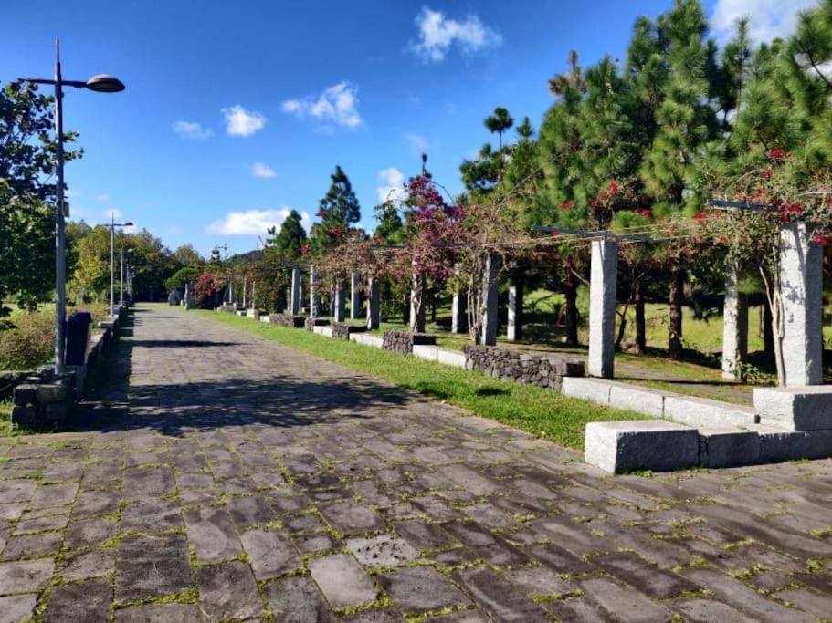 New Park In Ponta Delgada (Sao Miguel)