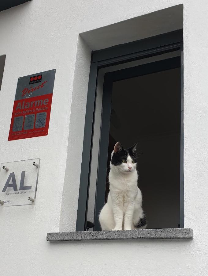 Caminhos Nos Levam Pela Ilha Căn hộ Ponta Delgada (Sao Miguel)