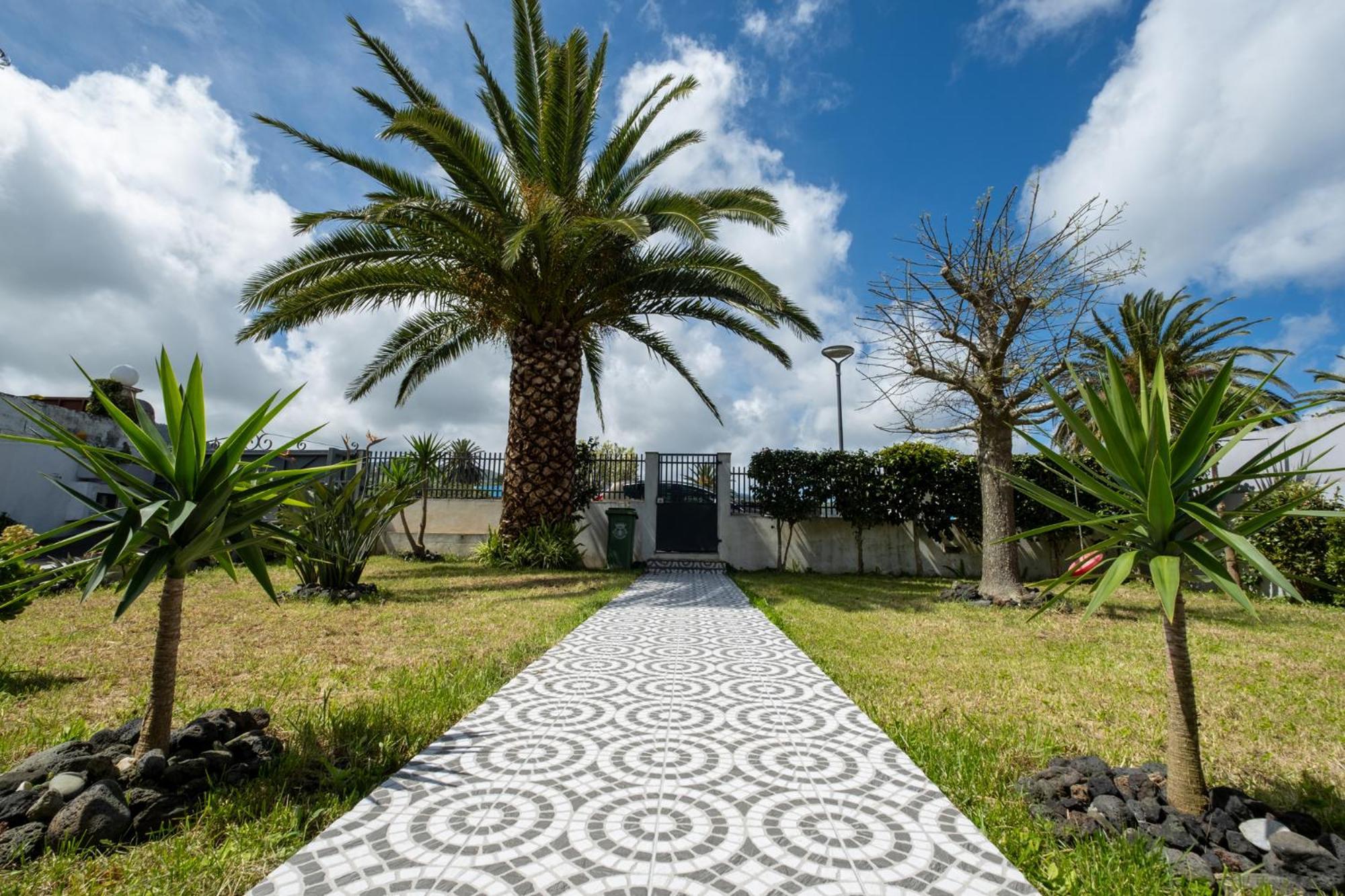 Azores Palmeira * Ponta Delgada (Sao Miguel)