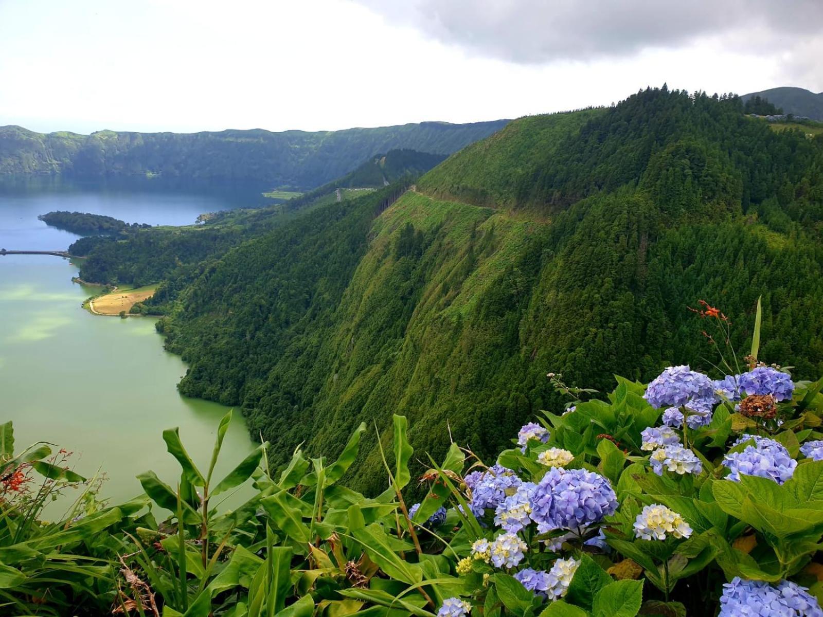 Pilar - Rural In The Countryside Of Sao Miguel