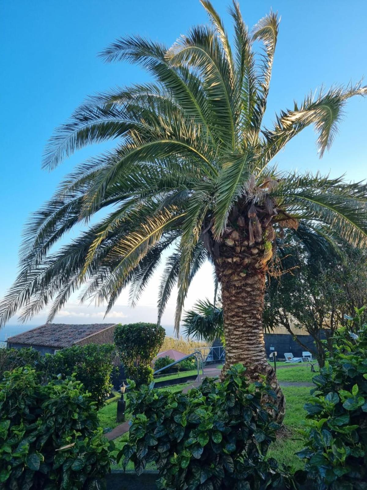 Pilar - Rural In The Countryside Of Sao Miguel Holiday home *