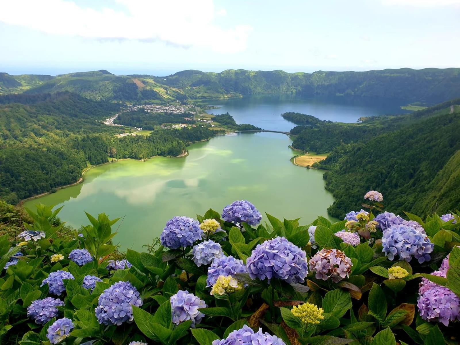 Apartamento Pilar Vulcao - Rural In The Countryside Of Sao Miguel Ponta Delgada