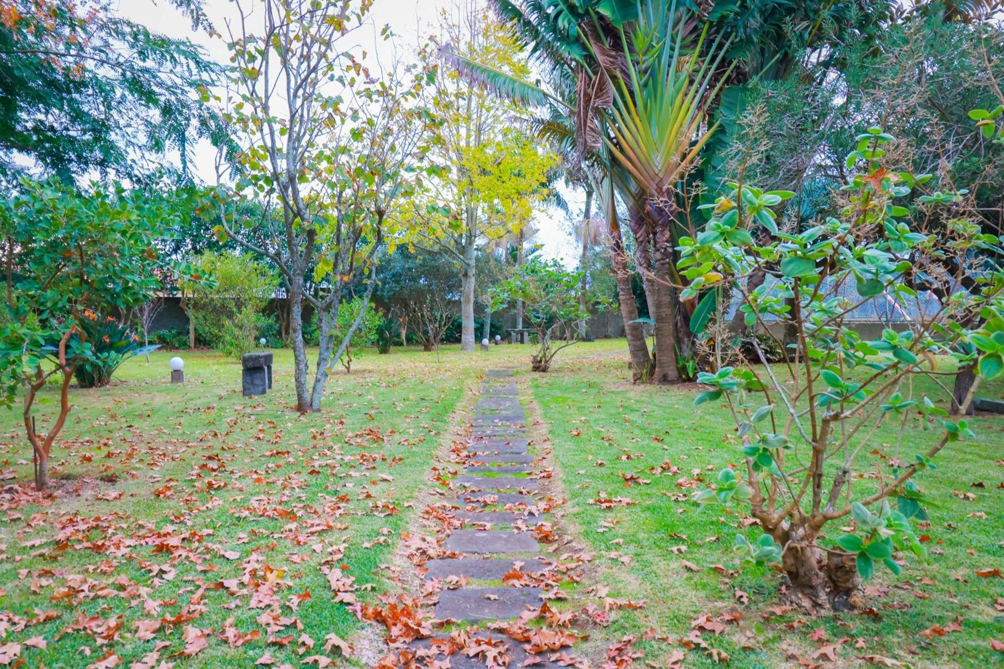 Casa Barao Das Laranjeiras Ponta Delgada (Sao Miguel)