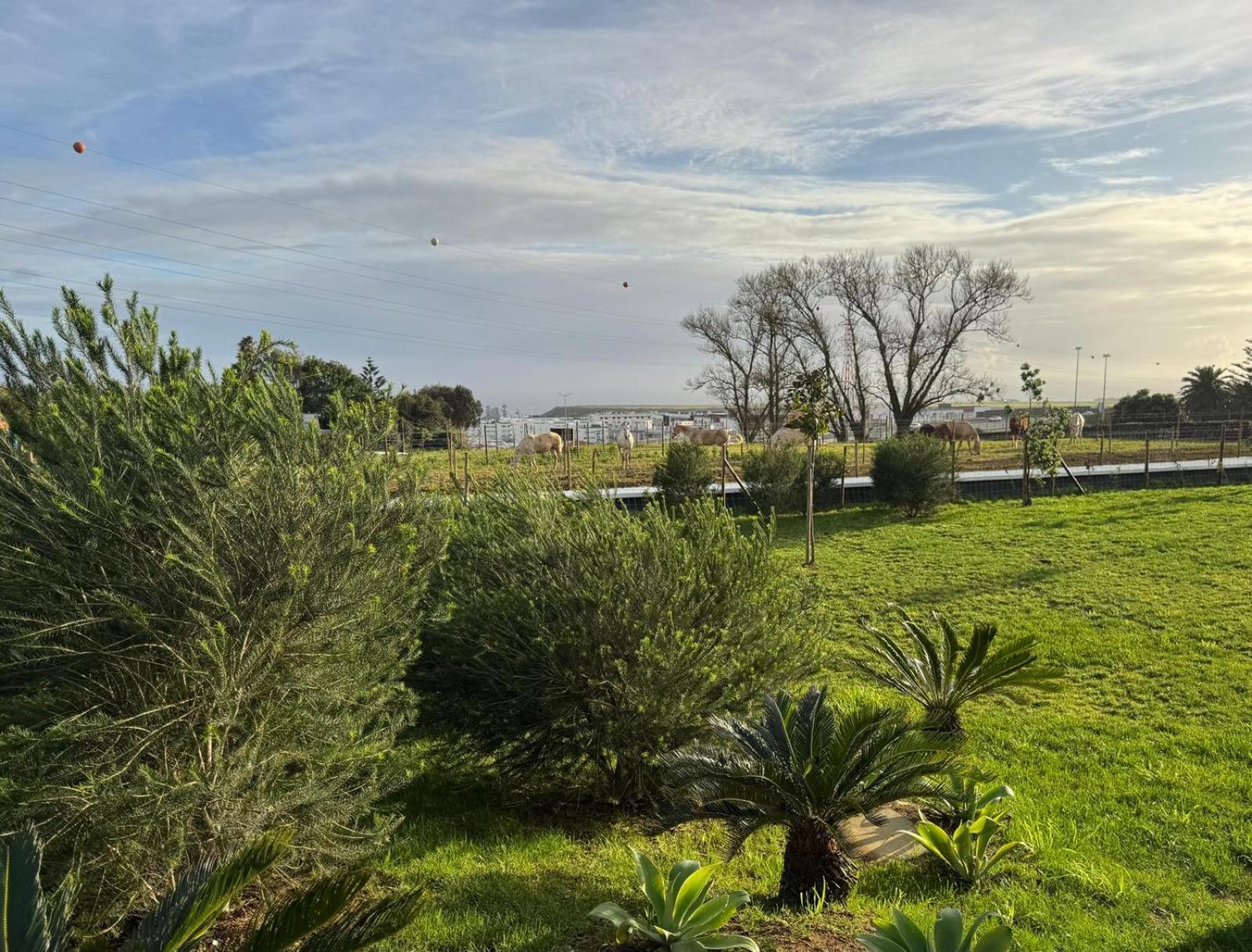 Lusitano Garden Ponta Delgada