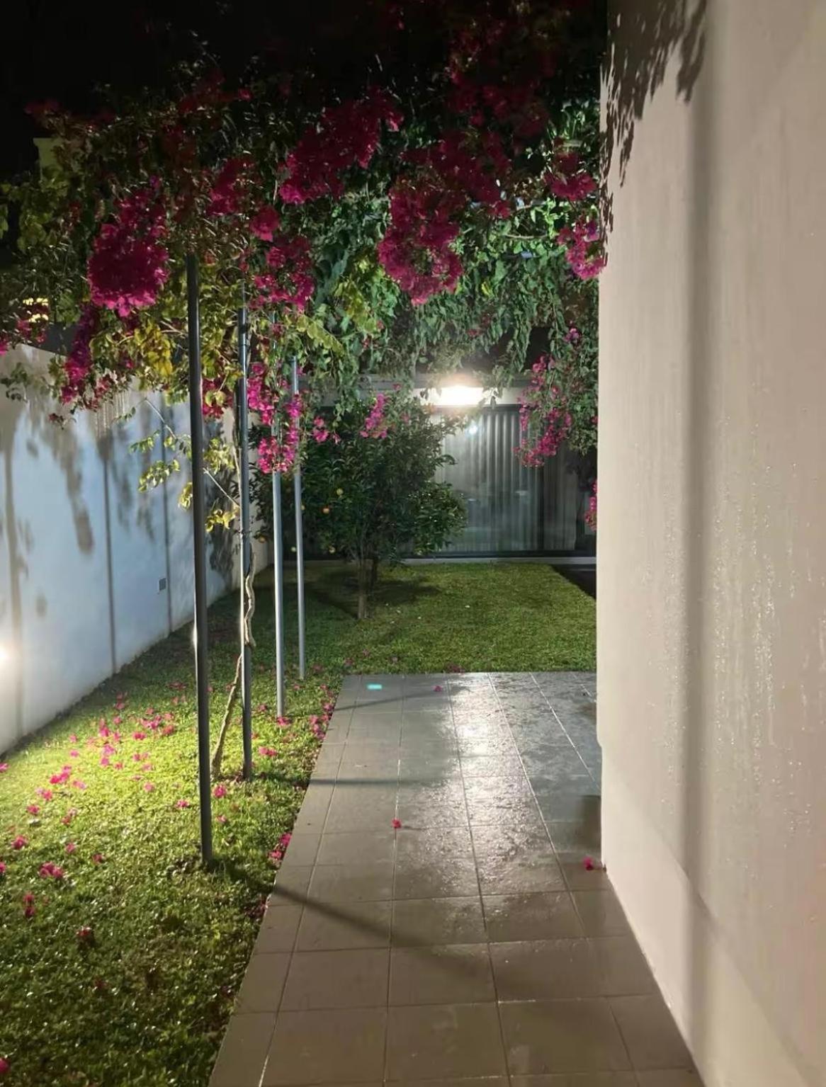 Homestay Casa Da Monica Ponta Delgada (Sao Miguel)