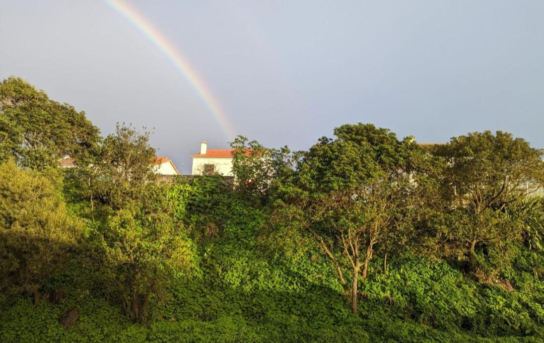 Casa Luna Apartment Ponta Delgada (Sao Miguel)