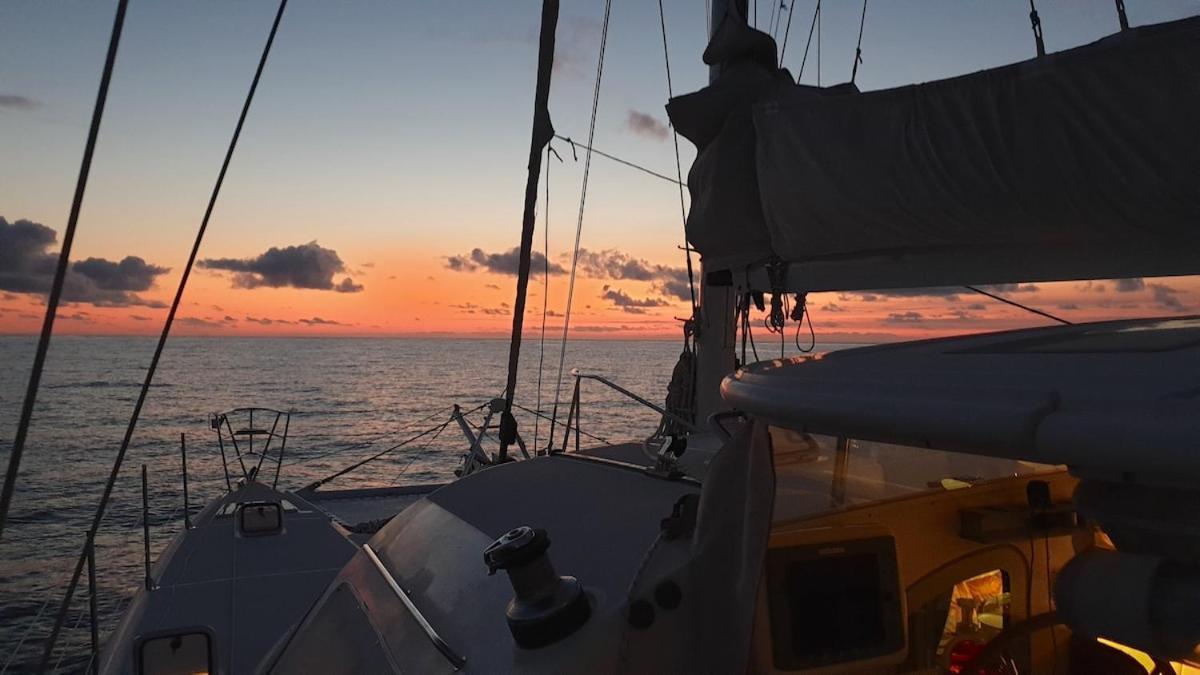 Catamaran One