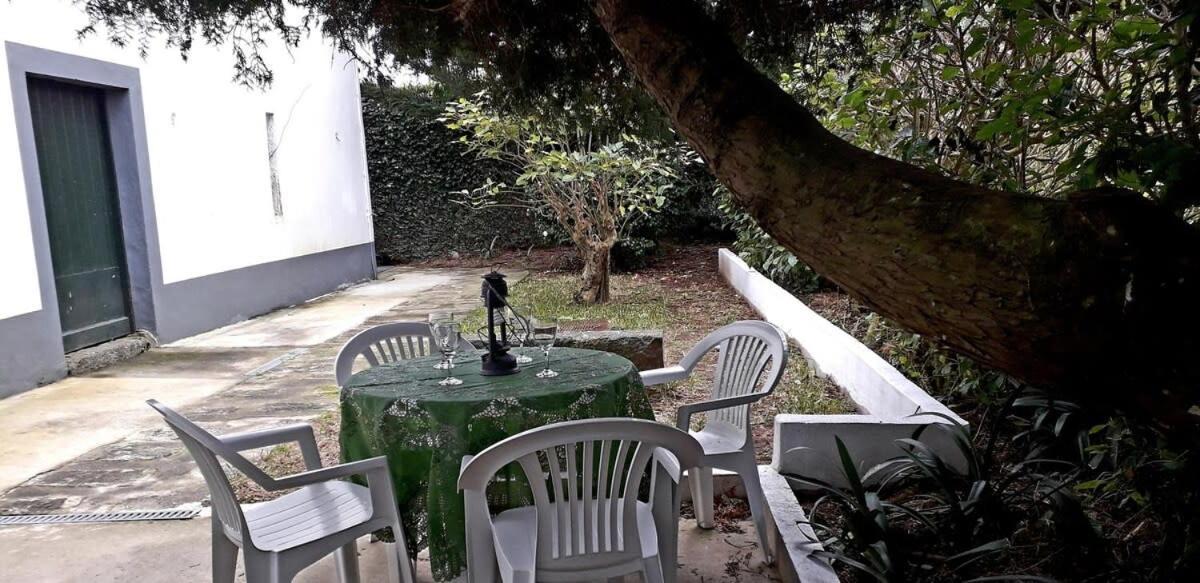 Ninho Do Cedro - Azorean Tranquility Apartment Ponta Delgada (Sao Miguel)