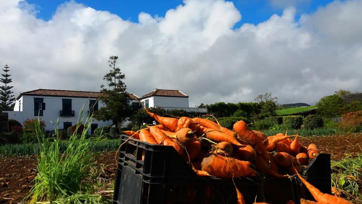 Ninho Do Cedro - Azorean Tranquility * Ponta Delgada