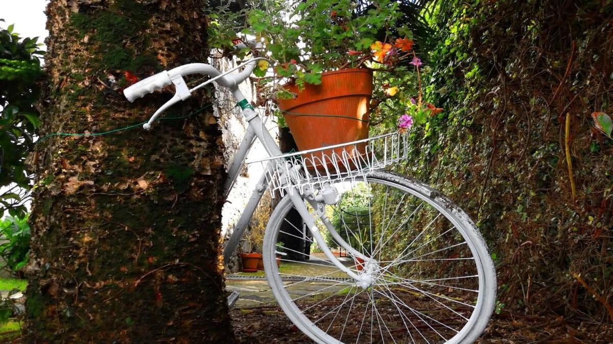 Ninho Do Cedro - Azorean Tranquility Apartment