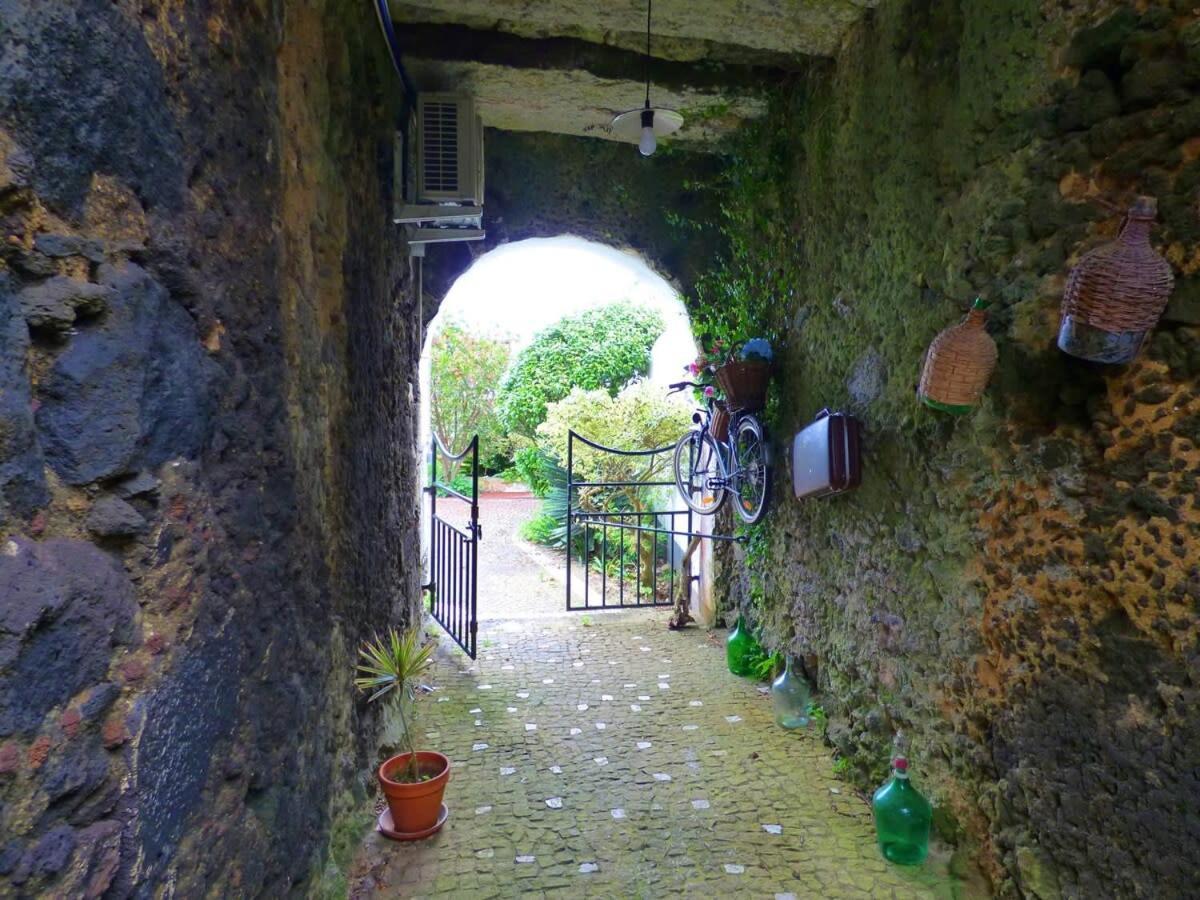 Ninho Do Cedro - Azorean Tranquility Apartment *