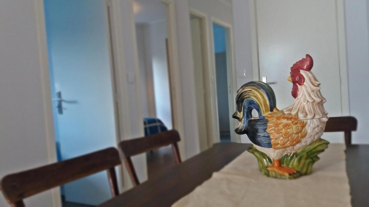 Apartment Ninho Do Cedro - Azorean Tranquility Ponta Delgada (Sao Miguel)