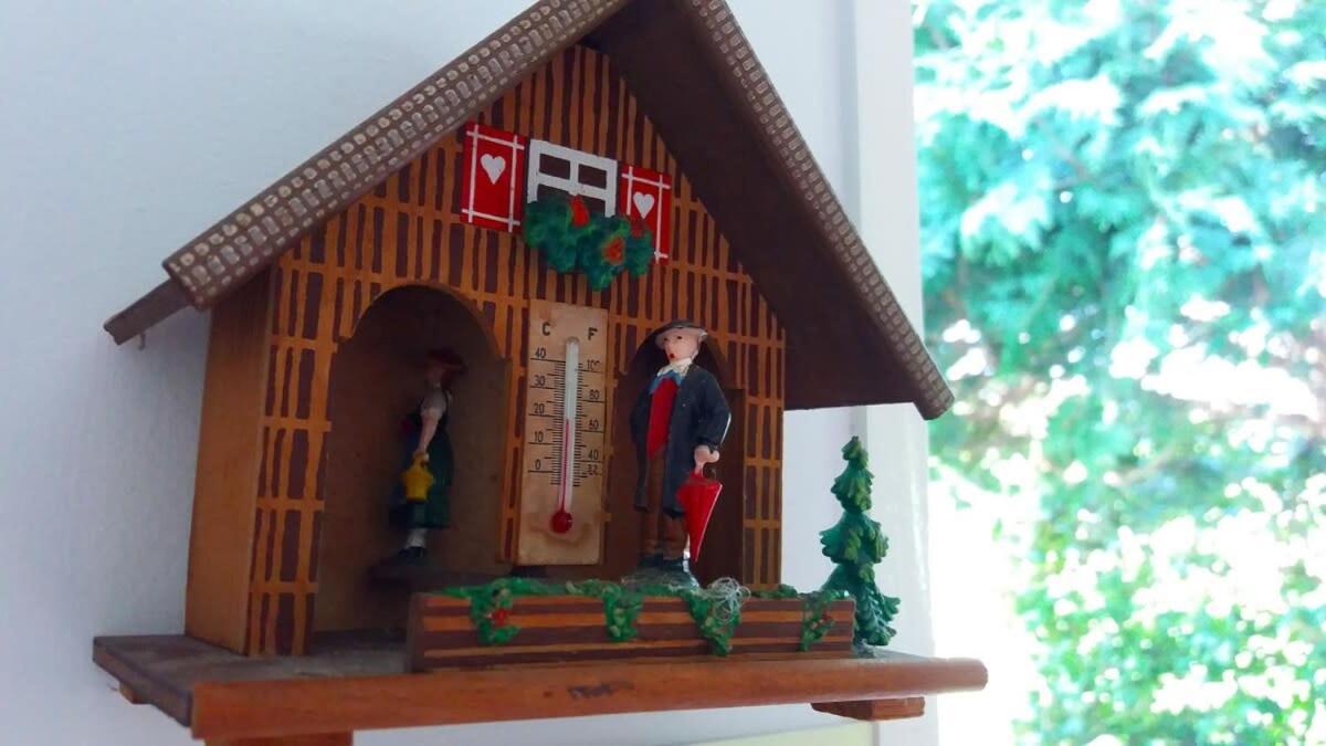 Ninho Do Cedro - Azorean Tranquility Apartment *