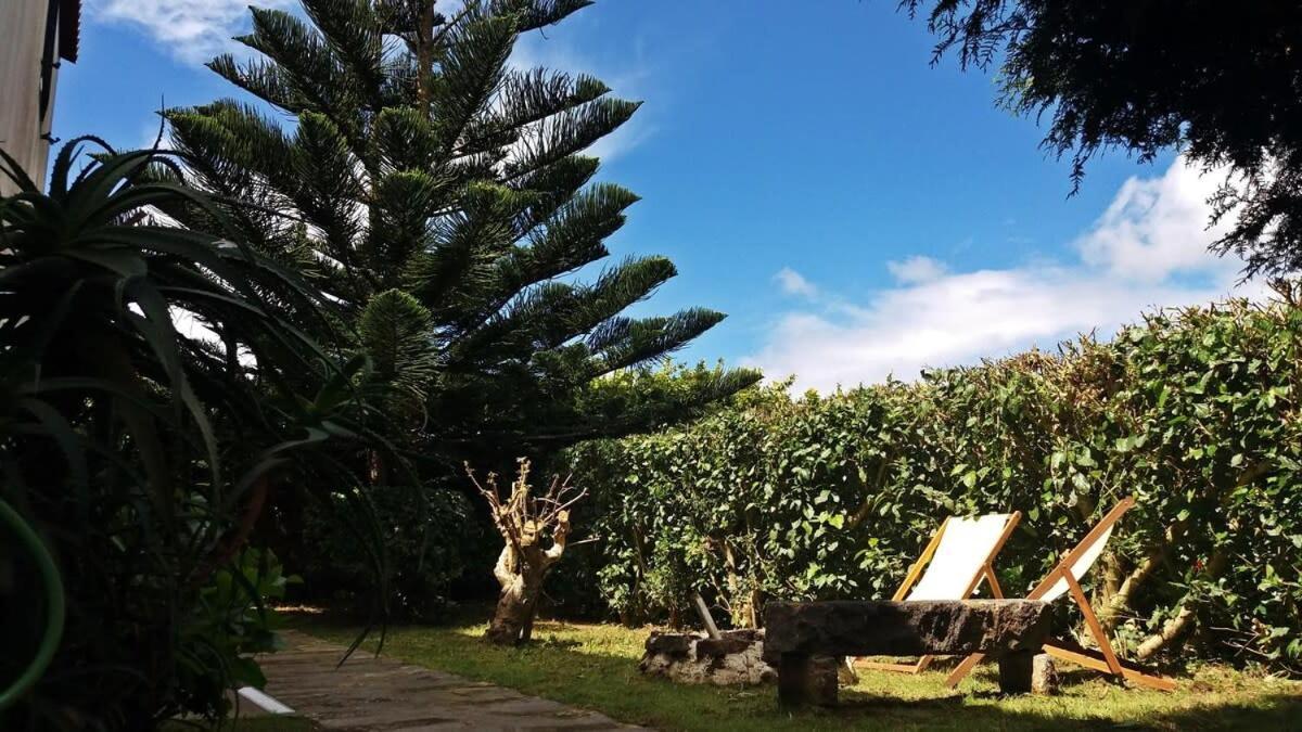 Ninho Do Cedro - Azorean Tranquility Appartamento Ponta Delgada