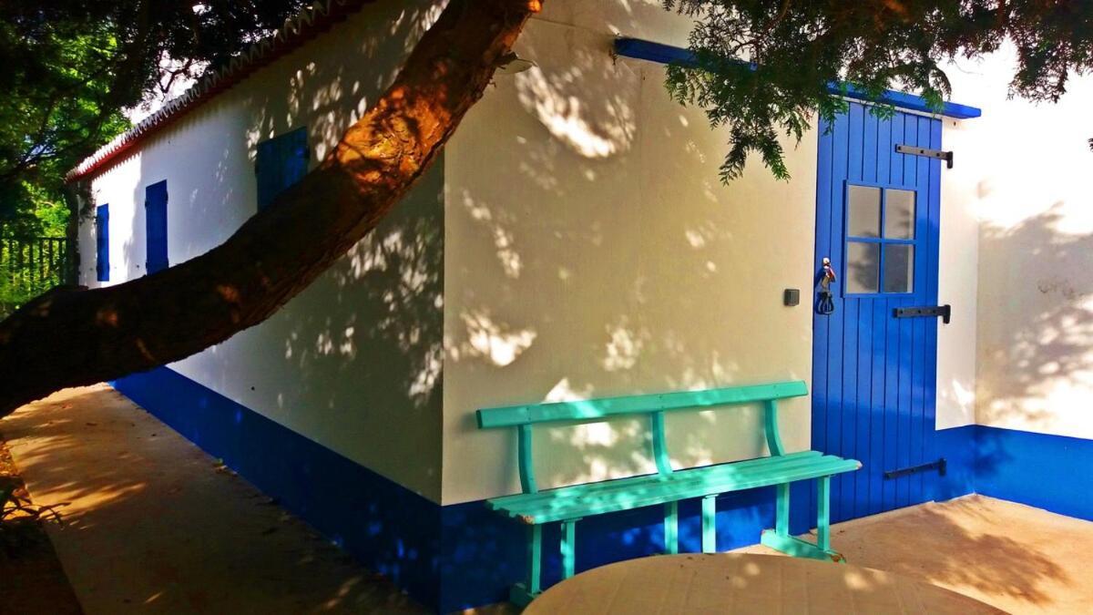 Ninho Do Cedro - Azorean Tranquility