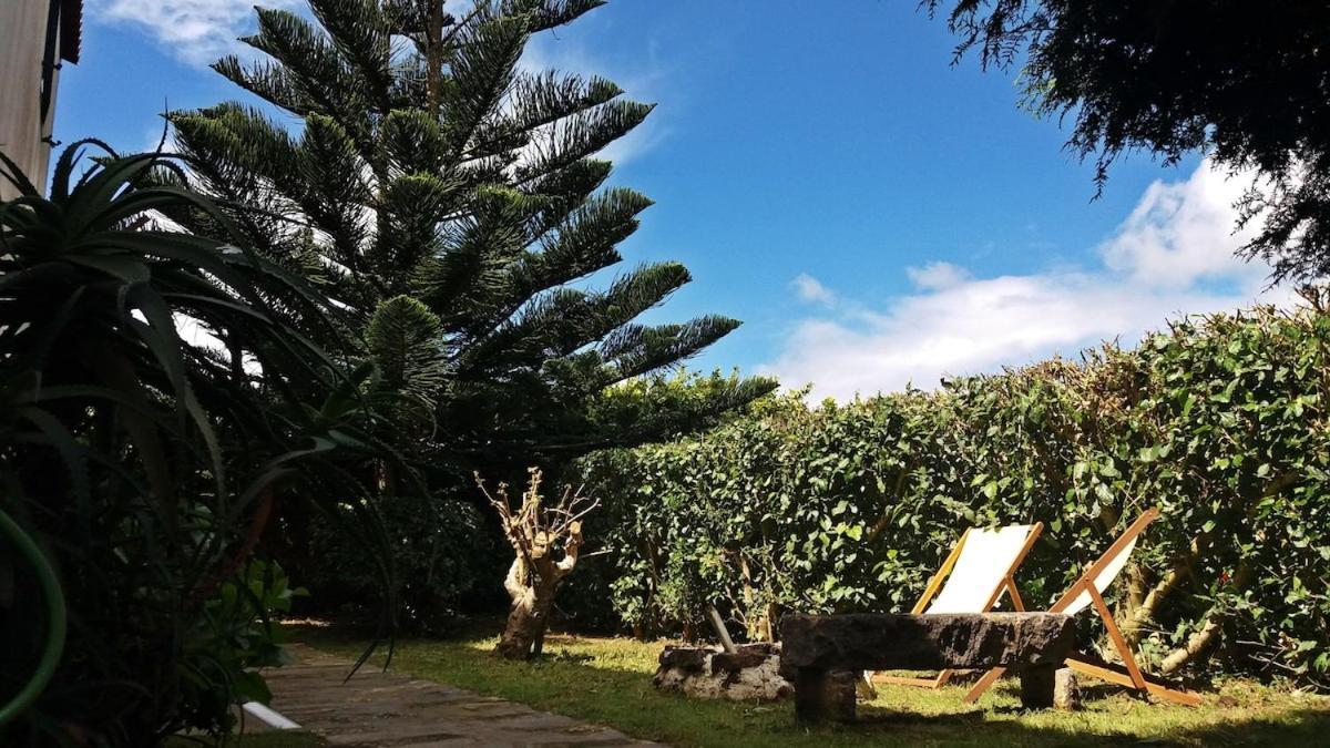 Ninho Do Cedro - Azorean Tranquility * Ponta Delgada (Sao Miguel)