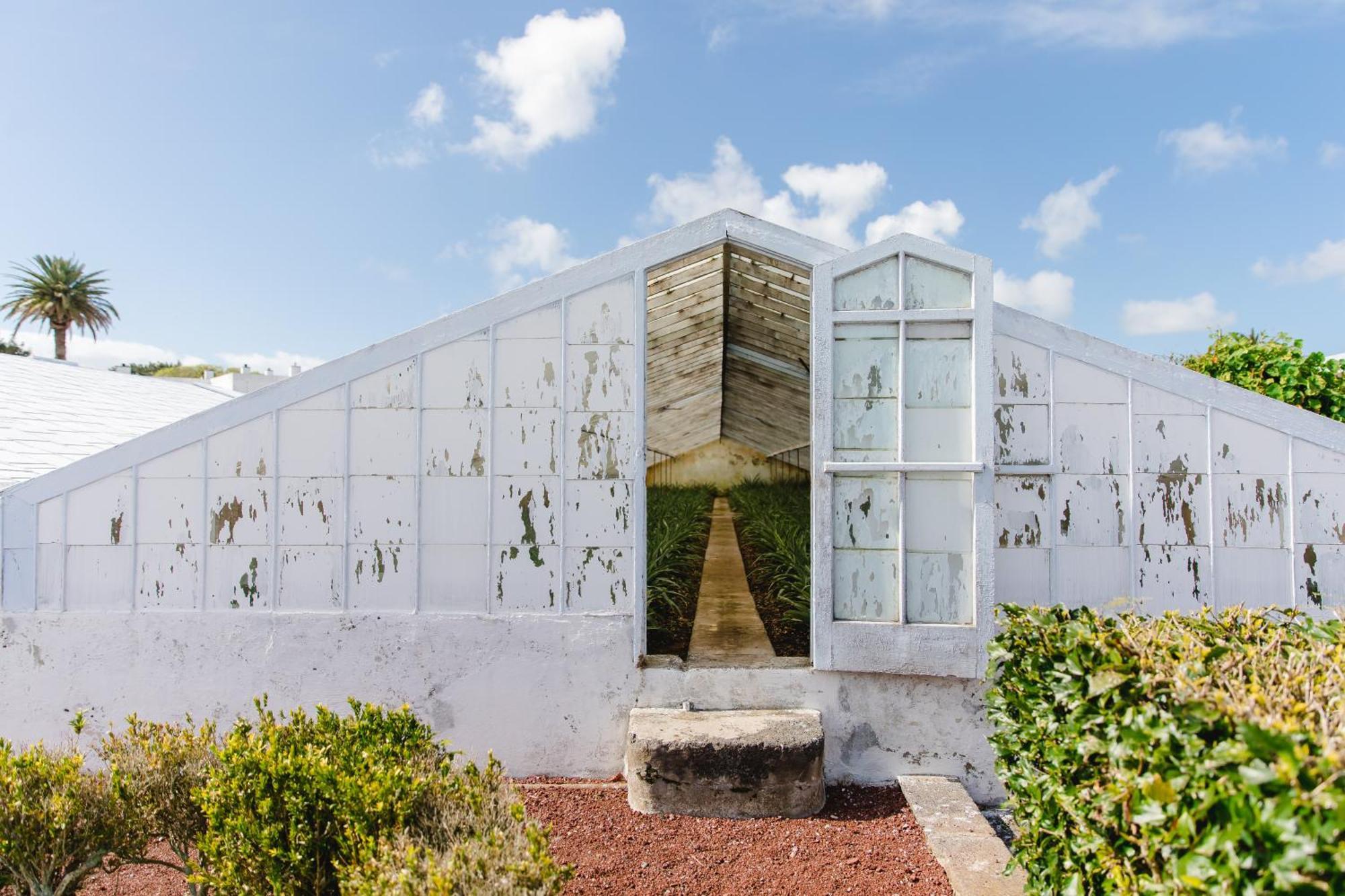 Bed & Breakfast Nature Retreat By Herdade Do Ananas