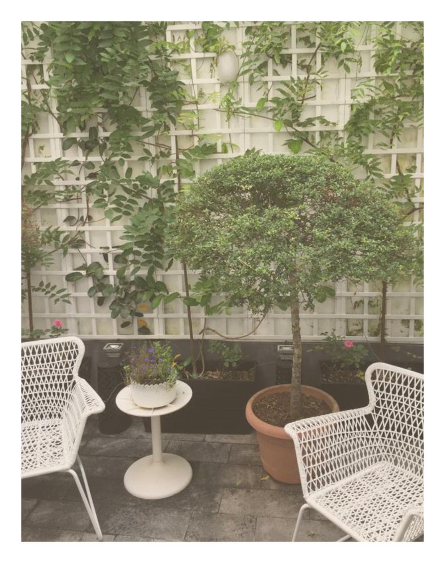 Casa Physalis Ponta Delgada (Sao Miguel)