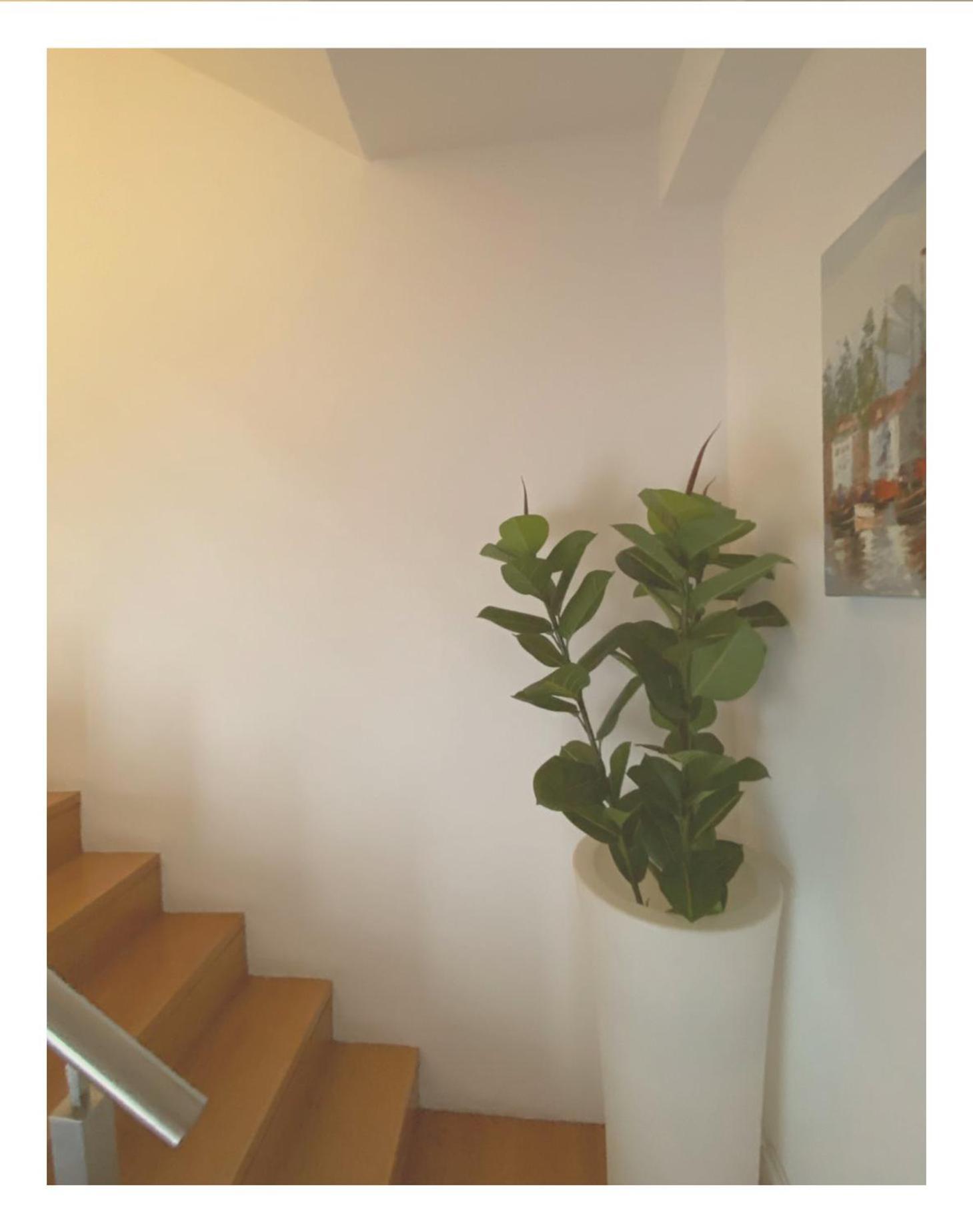 Casa Physalis Bed & Breakfast