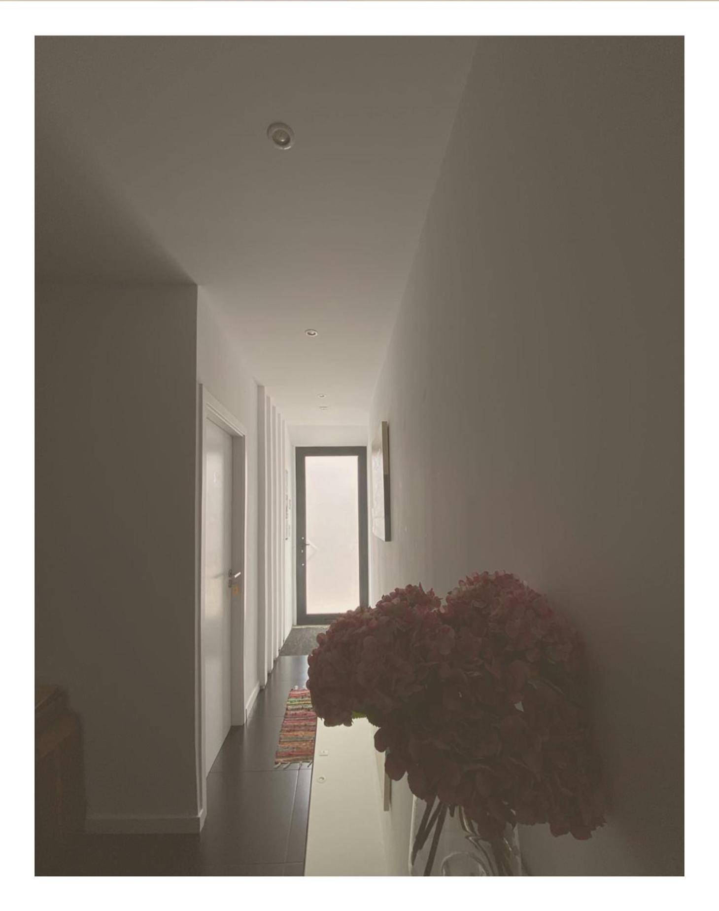 Casa Physalis Ponta Delgada (Sao Miguel)